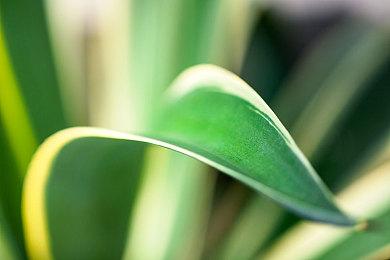 《冤罪执行游戏Yurukill》主题曲MV公开 游戏今日发售